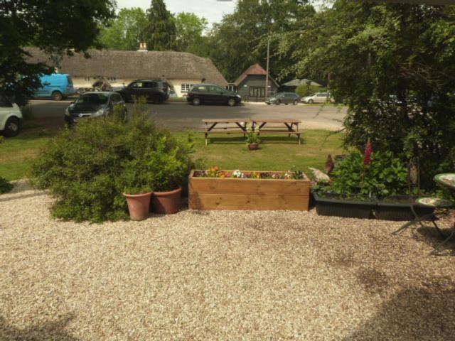 Twin Oaks Guest House Cadnam Bagian luar foto